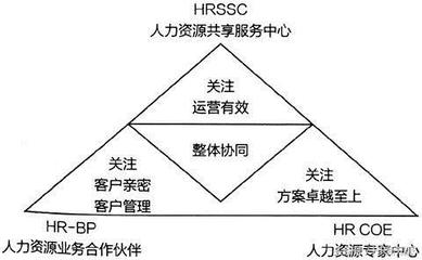 數(shù)字化時代下人力資源組織系統(tǒng)的演變與人力資源服務(wù)的轉(zhuǎn)型升級